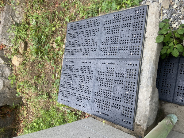 9cdcec28148fe1ae03b6d10634326c31_1719314387_7216.jpg