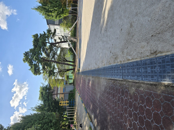 5ccd69330c6c83635ea352298714425e_1759198628_2952.jpg